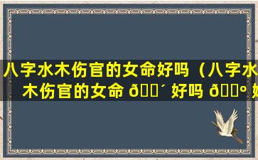 八字水木伤官的女命好吗（八字水木伤官的女命 🐴 好吗 🌺 婚姻如何）